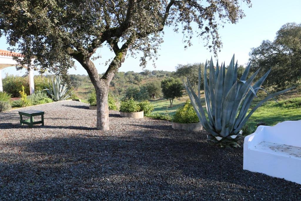 Ferienwohnung Monte Novo da Sobreira, rust en ruimte in zuid Alentejo Ourique Exterior foto
