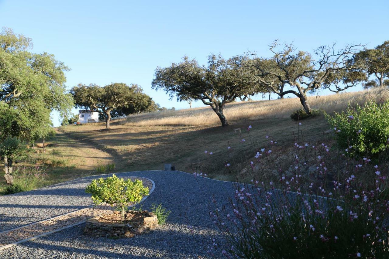 Ferienwohnung Monte Novo da Sobreira, rust en ruimte in zuid Alentejo Ourique Exterior foto
